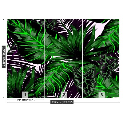 Motivtapete Monstera blätter