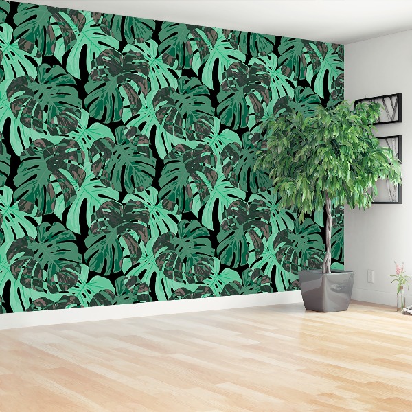 Motivtapete Monstera blätter