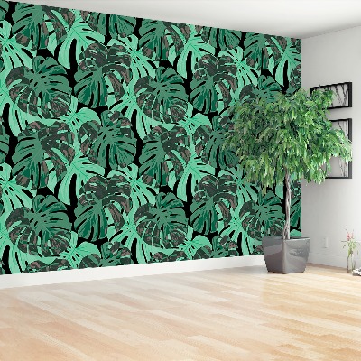 Motivtapete Monstera blätter