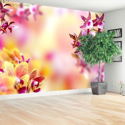 Bildtapete Rosa orchidee