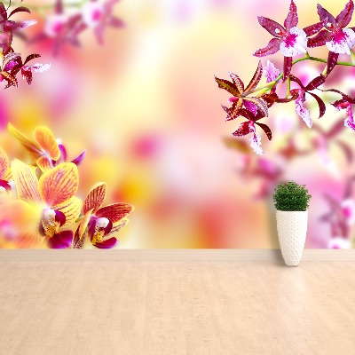 Bildtapete Rosa orchidee