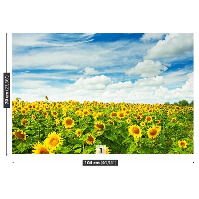 Fototapete Ein feld von sonnenblumen