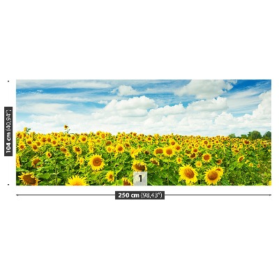 Fototapete Ein feld von sonnenblumen