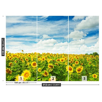 Fototapete Ein feld von sonnenblumen