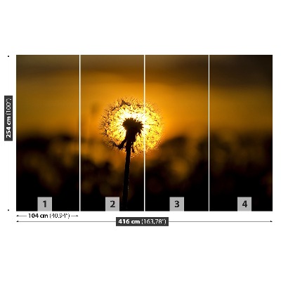 Fototapete Löwenzahn