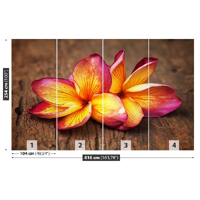 Bildtapete Plumeria holz