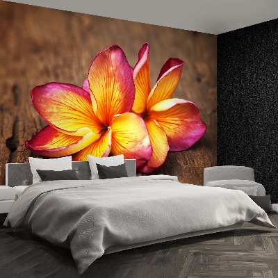 Bildtapete Plumeria holz