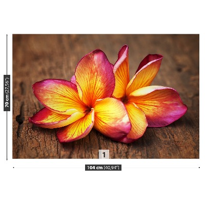 Bildtapete Plumeria holz