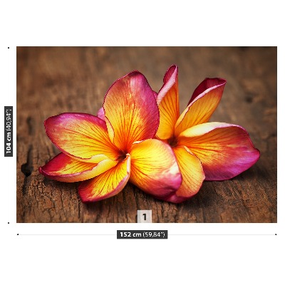 Bildtapete Plumeria holz