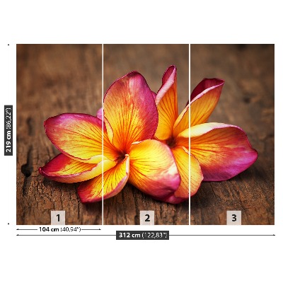 Bildtapete Plumeria holz