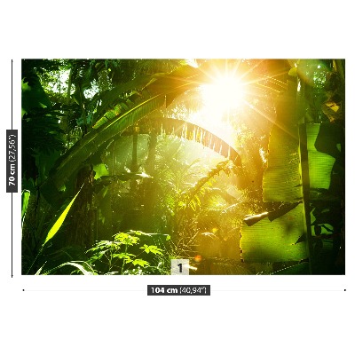 Fototapete Dschungel in vietnam