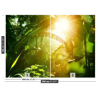 Fototapete Dschungel in vietnam