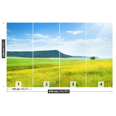 Fototapete Frühlingswiese