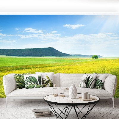 Fototapete Frühlingswiese