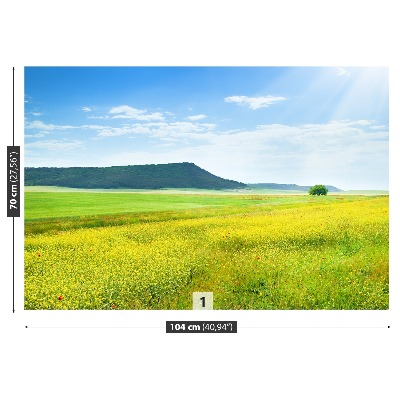 Fototapete Frühlingswiese