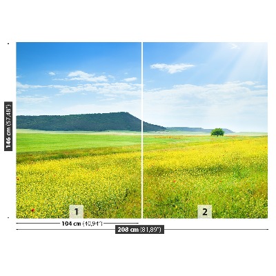 Fototapete Frühlingswiese