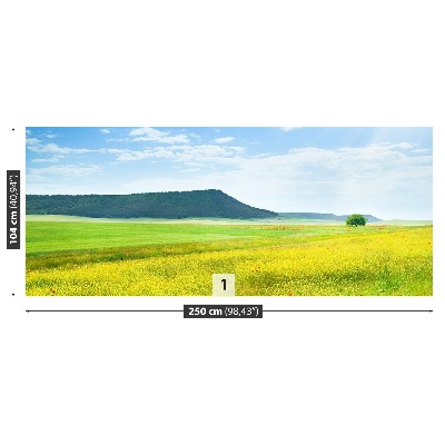 Fototapete Frühlingswiese