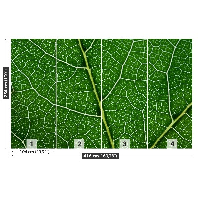 Motivtapete Grünes blatt