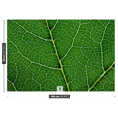Motivtapete Grünes blatt