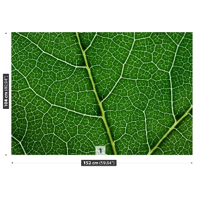 Motivtapete Grünes blatt