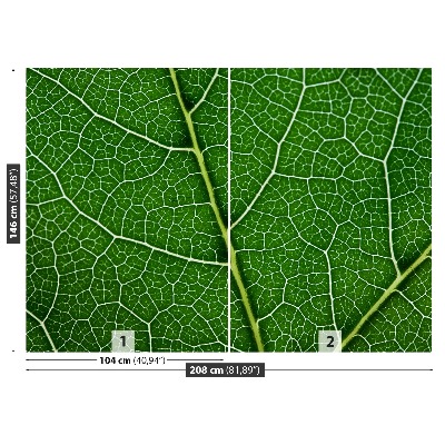 Motivtapete Grünes blatt