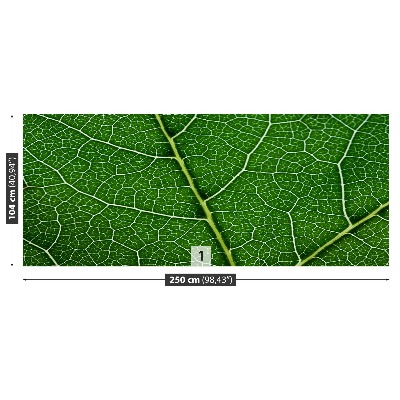 Motivtapete Grünes blatt