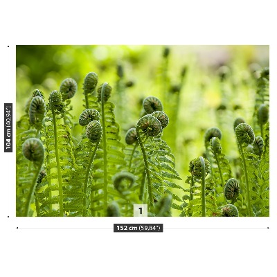 Bildtapete Farn-grün