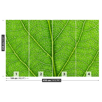 Motivtapete Grünes blatt