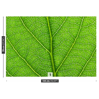 Motivtapete Grünes blatt