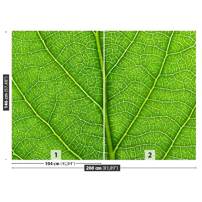Motivtapete Grünes blatt