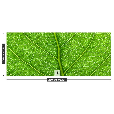 Motivtapete Grünes blatt