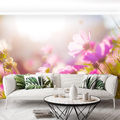 Bildtapete Gänseblümchen blumen