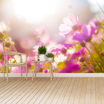 Bildtapete Gänseblümchen blumen