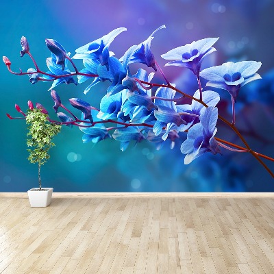 Bildtapete Blaue orchidee