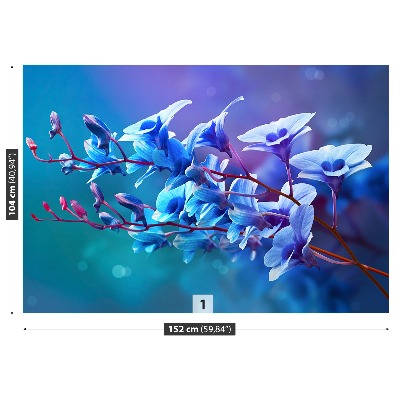 Bildtapete Blaue orchidee