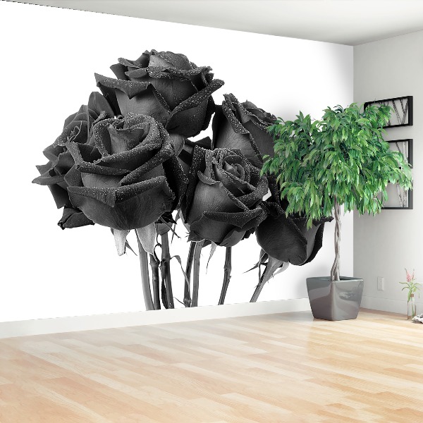 Bildtapete Schwarze rosen