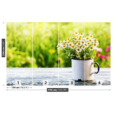 Bildtapete Gänseblümchen