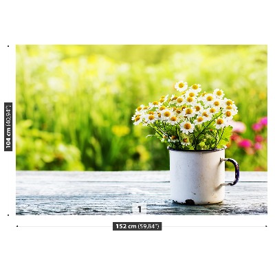 Bildtapete Gänseblümchen