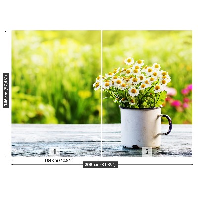 Bildtapete Gänseblümchen