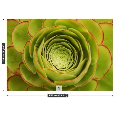 Bildtapete Grüne blume