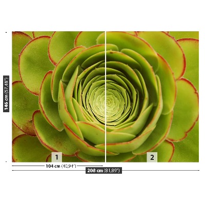 Bildtapete Grüne blume
