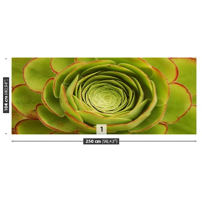 Bildtapete Grüne blume