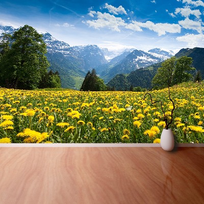 Fototapete Löwenzahn-berge