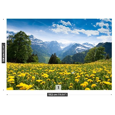 Fototapete Löwenzahn-berge
