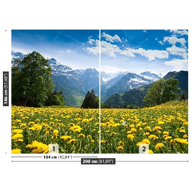 Fototapete Löwenzahn-berge