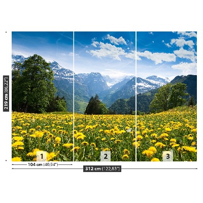 Fototapete Löwenzahn-berge