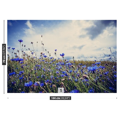 Bildtapete Cornflowers