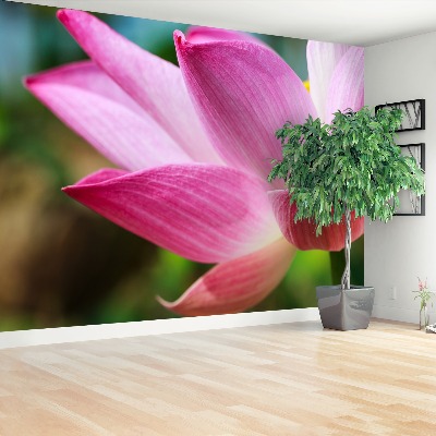 Bildtapete Pink lotus