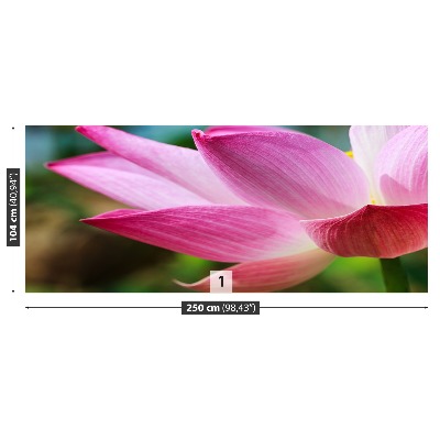Bildtapete Pink lotus
