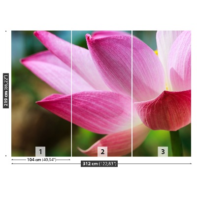 Bildtapete Pink lotus